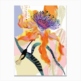 Colourful Flower Illustration Calendula 1 Canvas Print