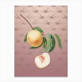 Vintage Duracina Peach Botanical on Dusty Pink Pattern n.2230 Canvas Print
