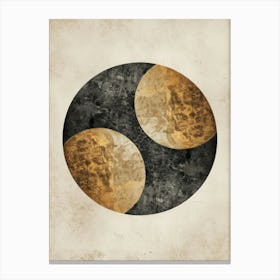 Yin And Yang 5 Canvas Print