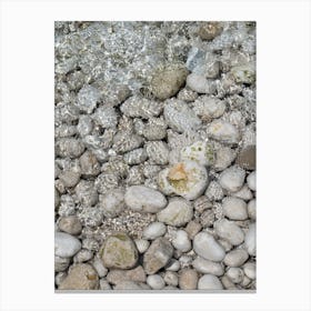 Clear water and white rocks and on the beach Canvas Print