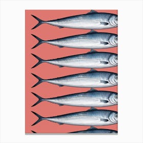 Sardines 4 Canvas Print