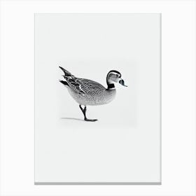 Mallard Duck B&W Pencil Drawing 3 Bird Canvas Print