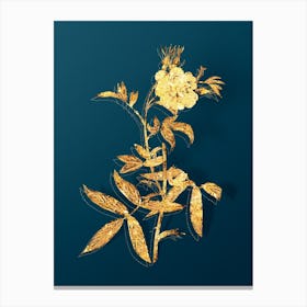 Vintage White Rose of York Botanical in Gold on Teal Blue n.0036 Canvas Print