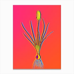 Neon Grape Hyacinth Botanical in Hot Pink and Electric Blue 1 Canvas Print