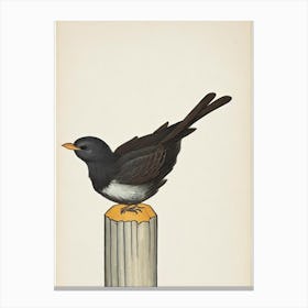 Chimney Swift Illustration Bird Canvas Print