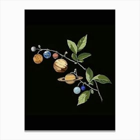 Planets On A Branch Canvas Print