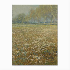 Field Of Daisies 1 Canvas Print