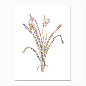 Stained Glass Summer Snowflake Mosaic Botanical Illustration on White Canvas Print