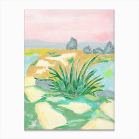 New Mexico Yucca Landscape  Canvas Print