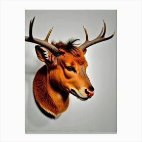 Deer Head 37 Canvas Print