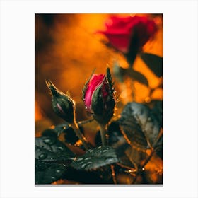 Poster Flower Art Print 16 Canvas Print