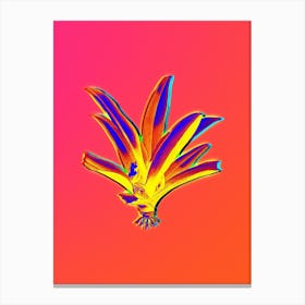Neon Boat Lily Botanical in Hot Pink and Electric Blue n.0354 Canvas Print