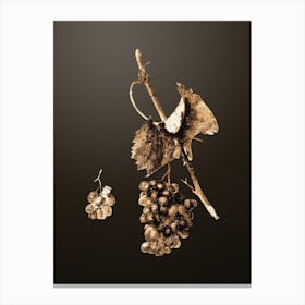 Gold Botanical Grape Barbarossa on Chocolate Brown n.4387 Canvas Print