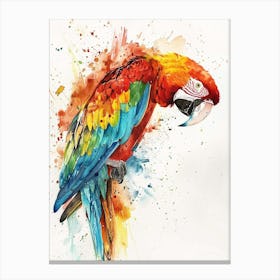 Macaw Colourful Watercolour 4 Canvas Print