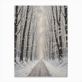 Winter Road Canvas Print