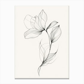 Magnolia Flower Canvas Print