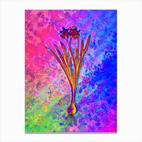 Lesser Wild Daffodil Botanical in Acid Neon Pink Green and Blue n.0145 Canvas Print