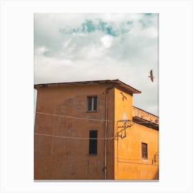 Eagle Flying Over A Building Canvas Print