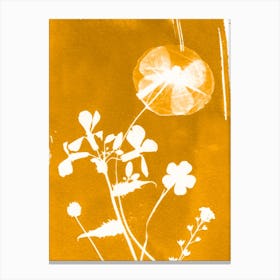 Yellow Poppies Flowers Canvas Print
