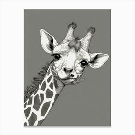 Giraffe 45 Canvas Print