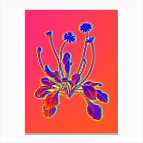 Neon Daisy Flowers Botanical in Hot Pink and Electric Blue n.0391 Canvas Print