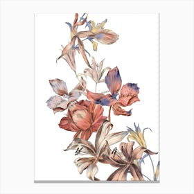 Orchid Bouquet Canvas Print