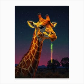 Giraffe 94 Canvas Print