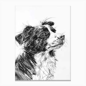 Miniature American Shepherd Dog Line Sketch 2 Canvas Print