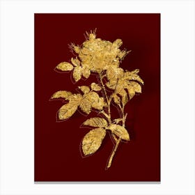 Vintage Red Portland Rose Botanical in Gold on Red n.0285 Canvas Print