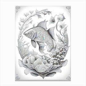 Koromo Koi Fish Haeckel Style Illustastration Canvas Print