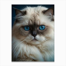 Blue Eyes Cat Canvas Print