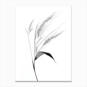 Black And White Grass Canvas Print