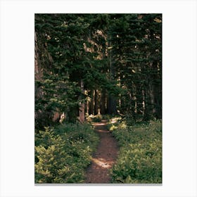 Dreamy Path Canvas Print