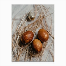 Easter Eggs 630 Canvas Print