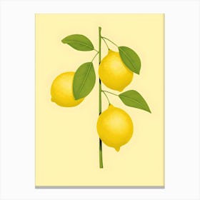 Minimalistic Lemons On A Branch Canvas Print