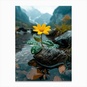 Yellow Flower In Water 3 Canvas Print