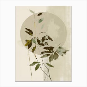 Green Twig No 3 Canvas Print