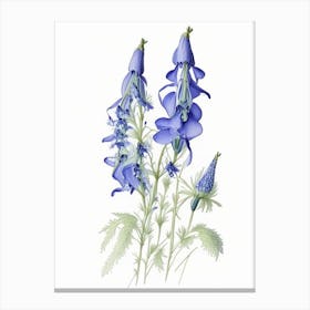 Delphinium Floral Quentin Blake Inspired Illustration 3 Flower Canvas Print