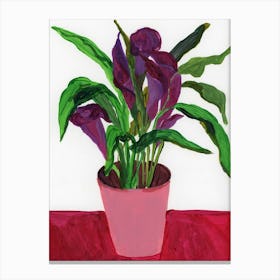 Purple Calla Lilies Canvas Print