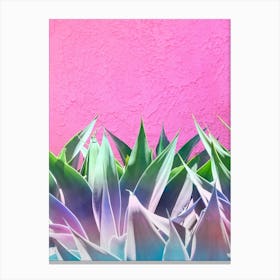 Rainbow Ombre Agave Cactus In Front Of Pink Wall Canvas Print