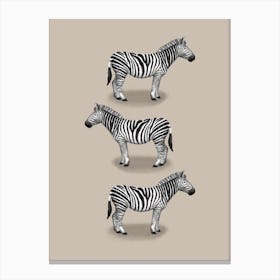 Zebras Canvas Print