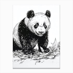 Giant Panda Cub Playing With A Fallen Leaf Ink Illustration 4 Canvas Print