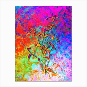 Commelina Africana Botanical in Acid Neon Pink Green and Blue n.0136 Canvas Print
