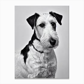 Lakeland Terrier B&W Pencil dog Canvas Print