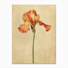 2024 May Poster Canvas Sng Iris 32 Canvas Print