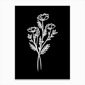 White Flowers On A Black Background Canvas Print