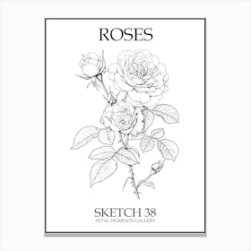 Roses Sketch 38 Poster Canvas Print