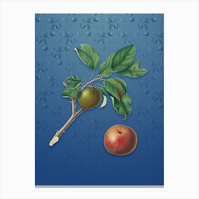 Vintage Apple Botanical on Bahama Blue Pattern n.1446 Canvas Print
