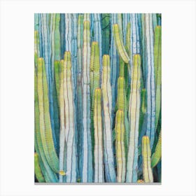 Vibrant Cactus Canvas Print