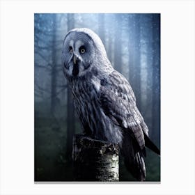 Owl In The Forest Canvas Print